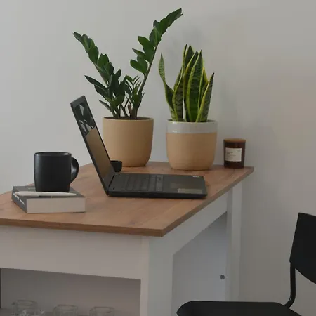 公寓 Studi-apartman Kestenov Stan *