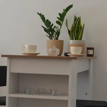 Studi-apartman Kestenov Stan 公寓 弗尔沙茨