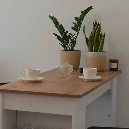 Studi-apartman Kestenov Stan 公寓