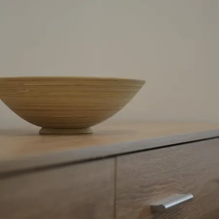 公寓 Studi-apartman Kestenov Stan