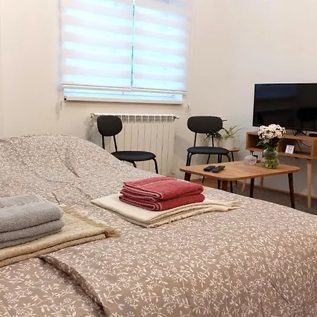 公寓 Studi-apartman Kestenov Stan 弗尔沙茨