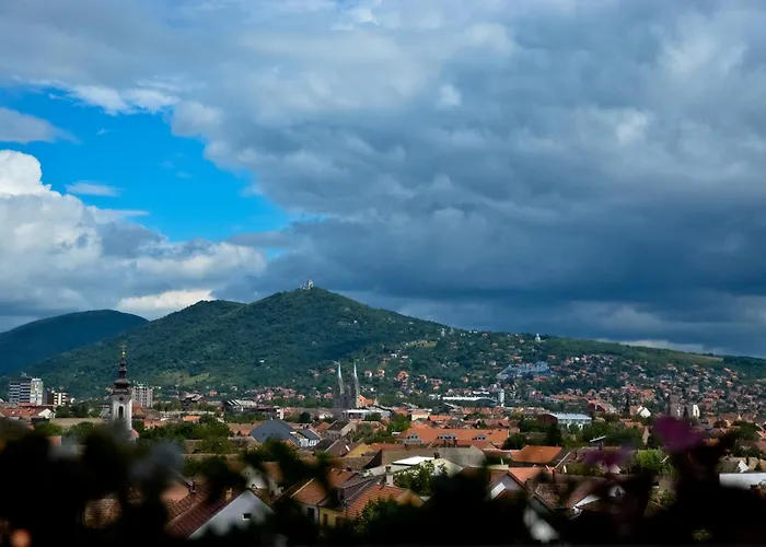 Studi-apartman Kestenov Stan Apartmán Vrsac