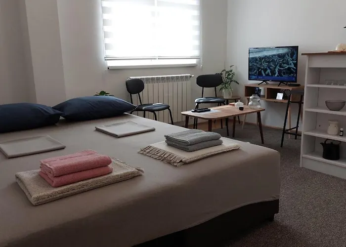 Studi-apartman Kestenov Stan Apartmán Vrsac